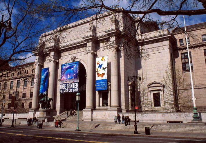 Музей естествознания в Нью-Йорке