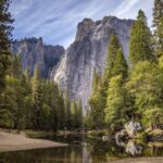 Виноделие в США