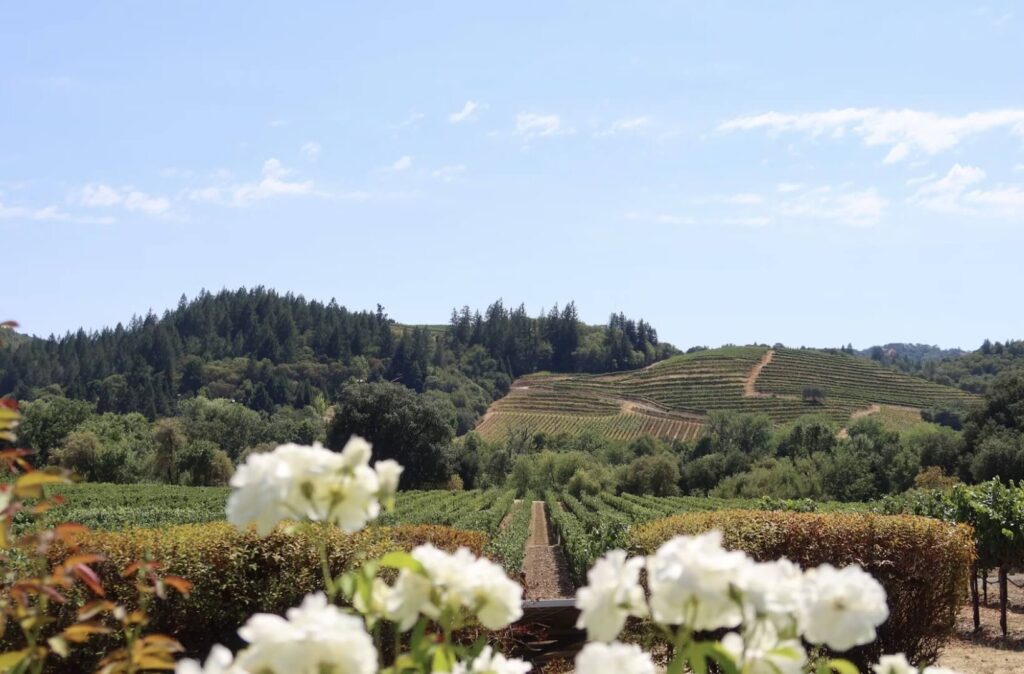 Napa Valley - Вино в США